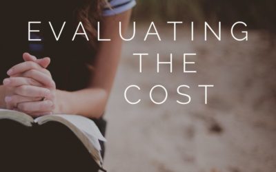 Evaluating the Cost